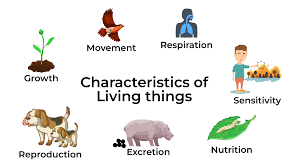 New Course IGCSE Grade 11 Biology Unit 1: Characteristics and Classification of Living Organisms