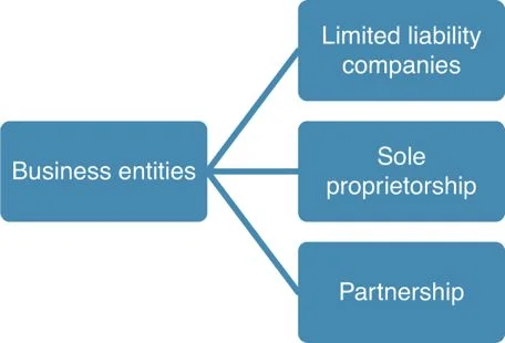 3 major forms of business ownership
